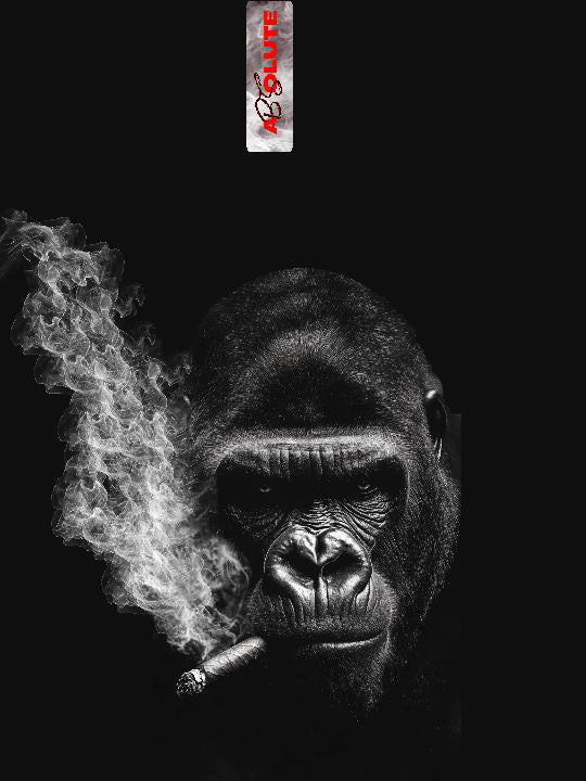Capes Gorilla